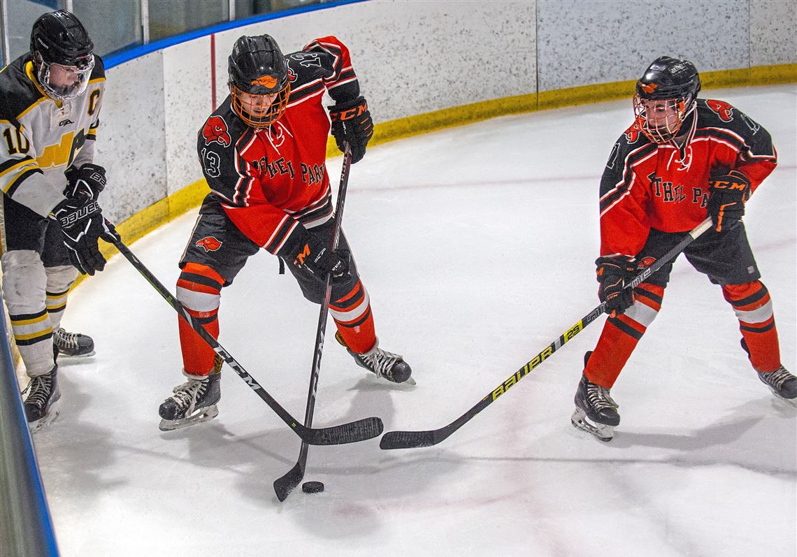 Bethel Park coach Mike Schall recognized for community hockey efforts