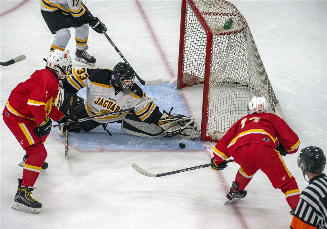 Former Steelers, Penguins, Pirates pitch in to help save Robert Morris  hockey