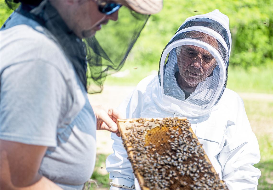 Veterans protect national food security by becoming beekeepers