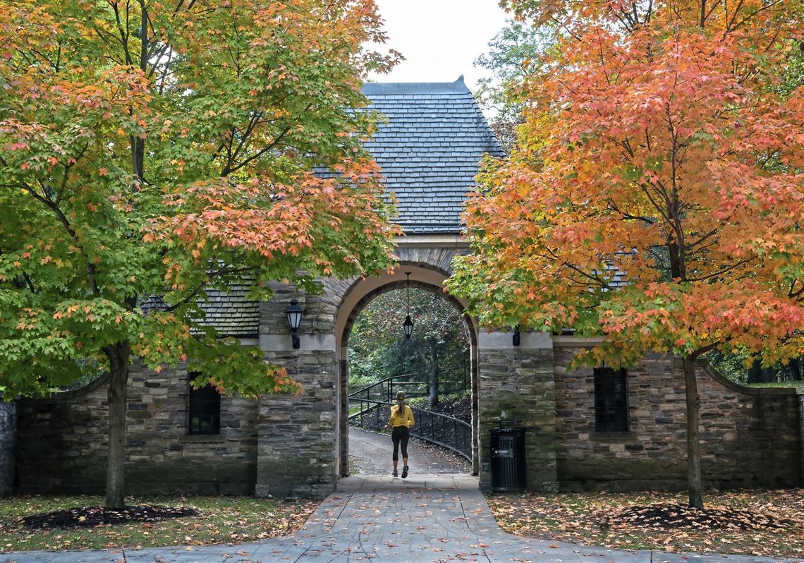 McKinley Park  Pittsburgh Parks Conservancy