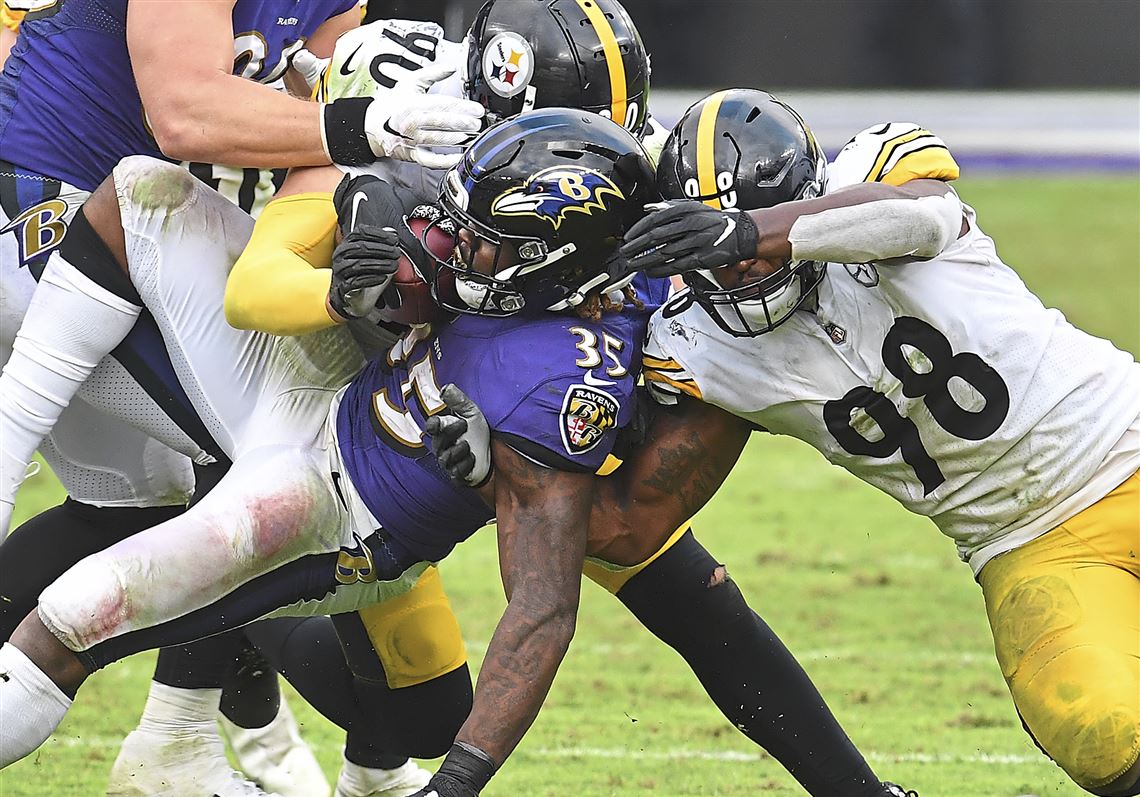 Paul Zeise: Vince Williams is an important addition to the Steelers defense