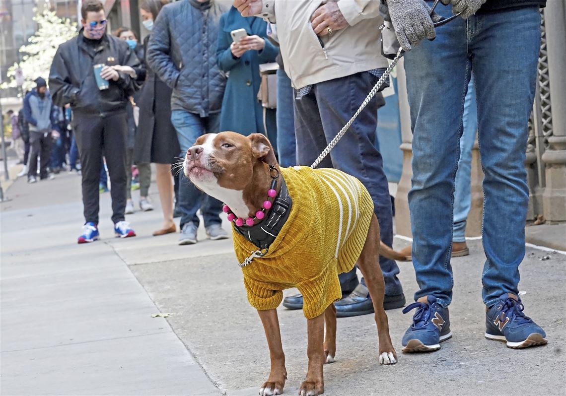 Official i'm A Simple Woman Coffee Dog And Pittsburgh Steelers