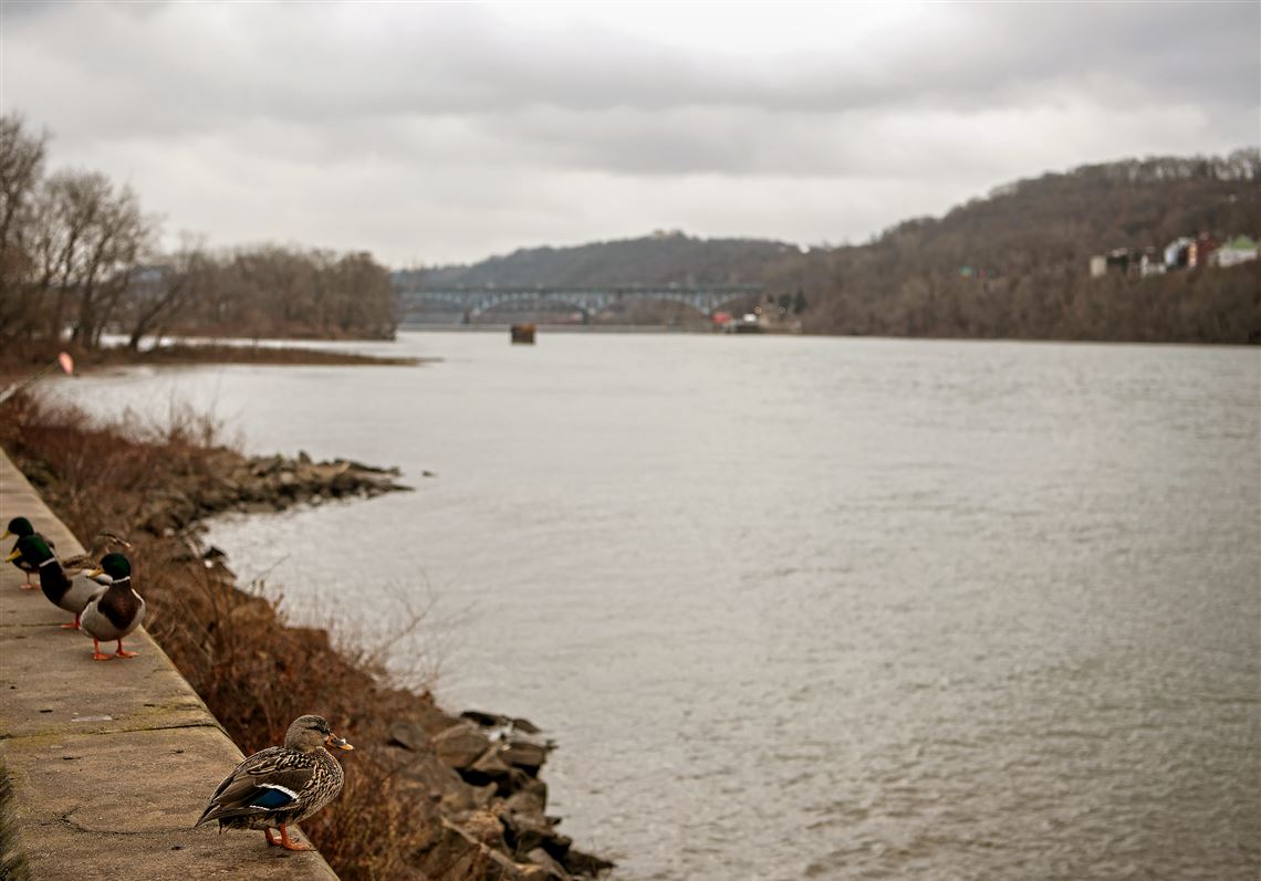 River color seen by satellite is helping to reveal condition of water - Pittsburgh Post-Gazette