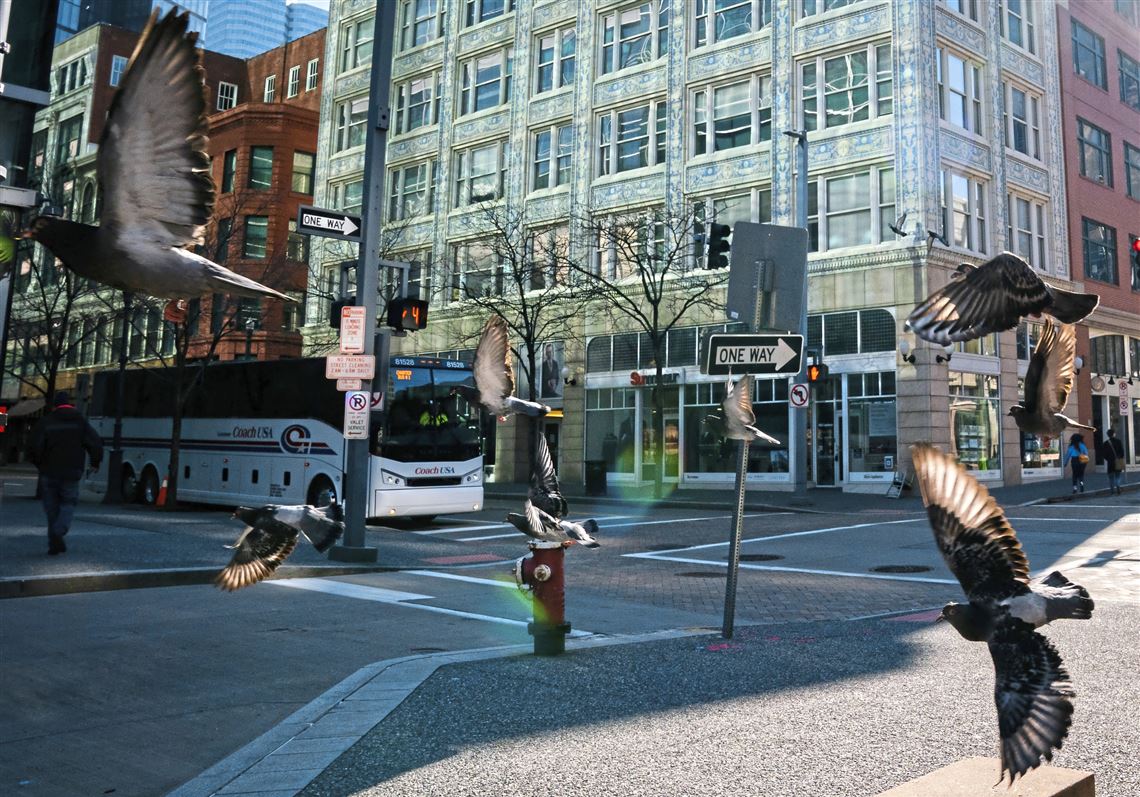 If you're looking for the section called goodness, this just makes