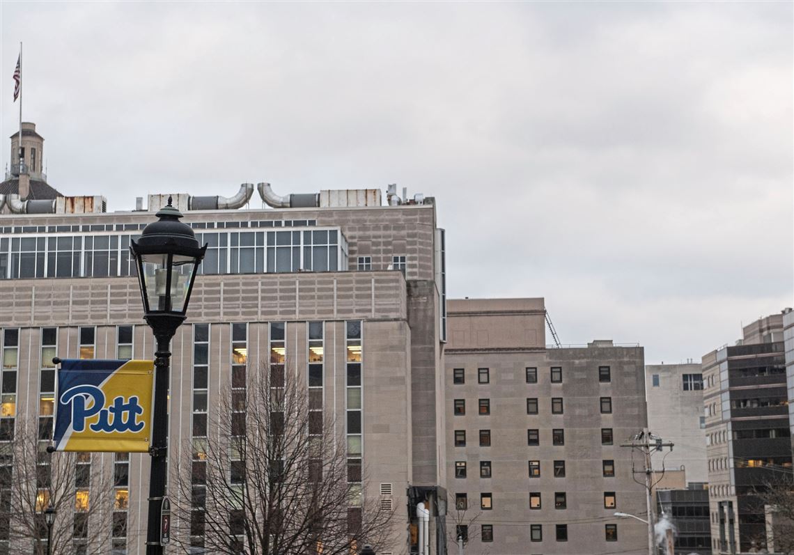 Pitt announces search committee for new chancellor