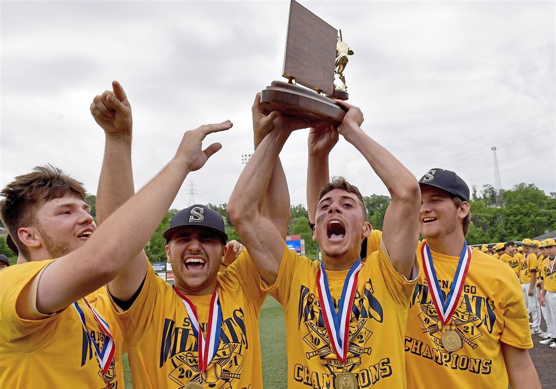 Shenango Wins First Wpial Baseball Title With 2 1 Victory Against Seton Lasalle Pittsburgh Post Gazette