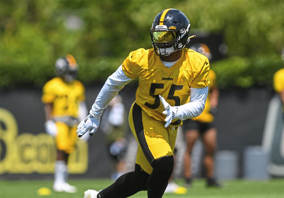 Pittsburgh Steelers linebacker Devin Bush (55) during an NFL football  training camp practice, Monday, Aug. 24, 2020, in Pittsburgh. (AP  Photo/Keith Srakocic Stock Photo - Alamy