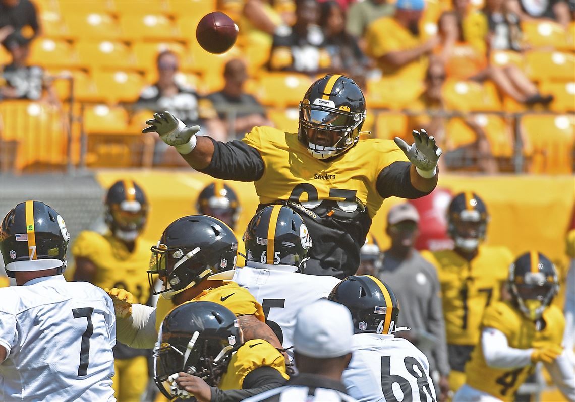 Steelers DT Cam Heyward gives fans another reason to love him