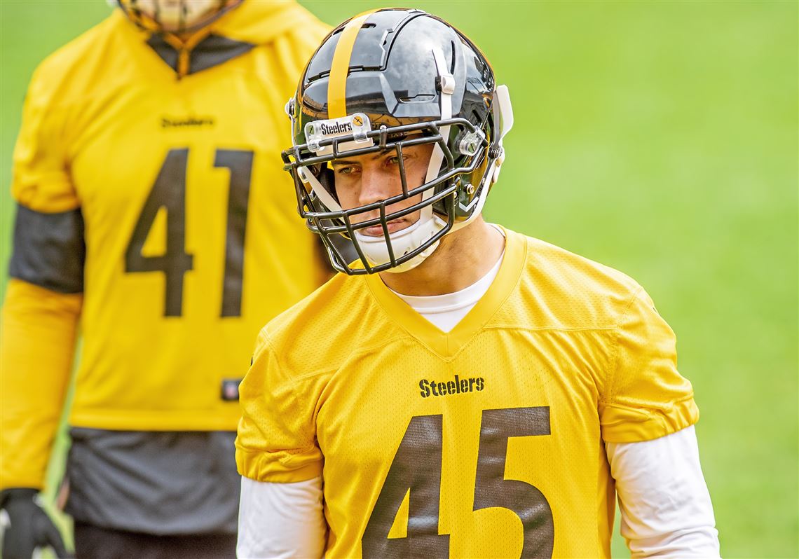 2021 Steelers Training Camp Preview: The Linebackers - Steel City  Underground