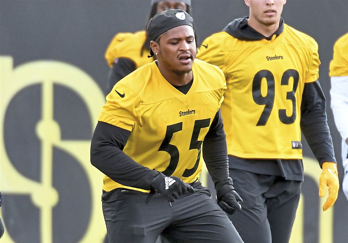 Steelers Never Expressed Concern About Devin Bush's Size According