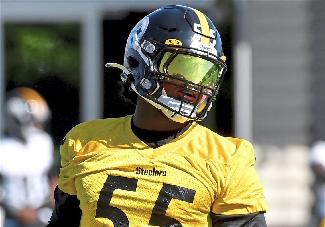 Seahawks sign former Steelers linebacker Devin Bush : r/nfl