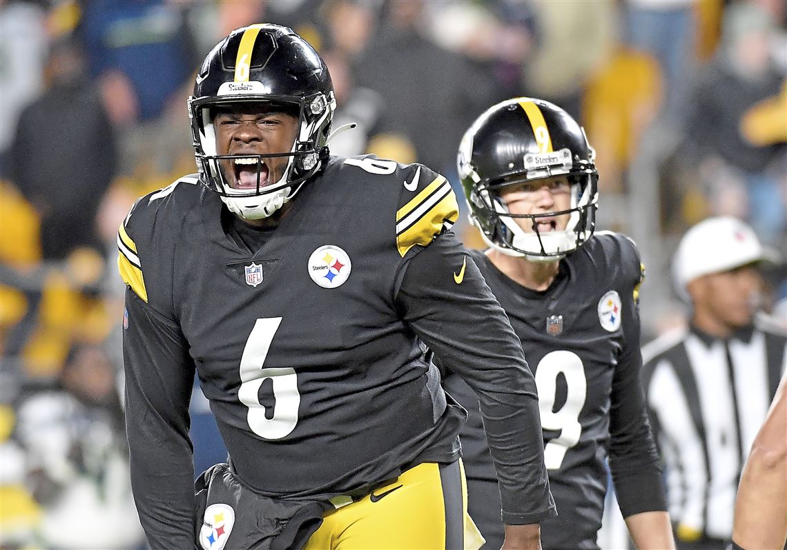 Pittsburgh Steelers punter Pressley Harvin III during an NFL