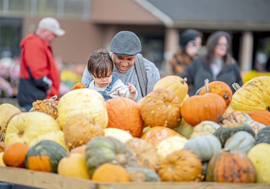 Trax Farms Fall Festival 2024 Ulla Alexina