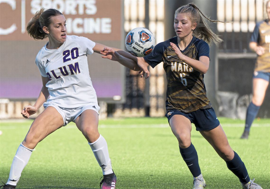 PIAA girls soccer playoffs Plum wins to set up rematch with Mars