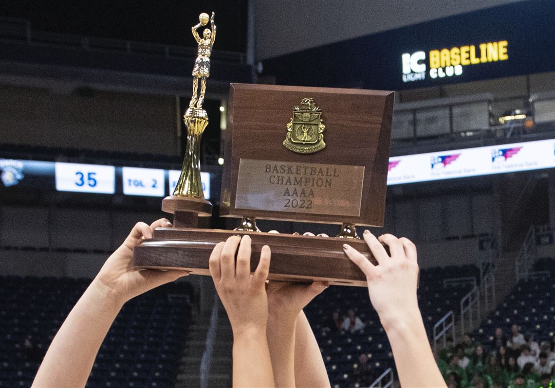 Mohawk falls to South Park in WPIAL 3A championship