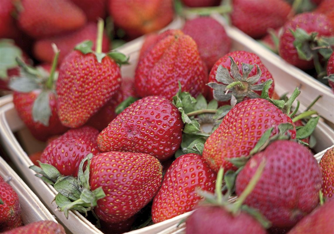 The Market at Cedar Point  Farmer's and Arts Markets Held Every Weekend