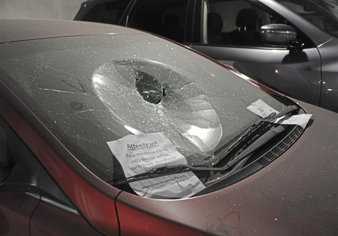 Exquisite Winston Peter's Partner Injured By Glass From Window Smashed In Alleged Attack View Nature Exquisite Winston Peter's Partner Injured By Glass From Window Smashed In Alleged Attack View Nature