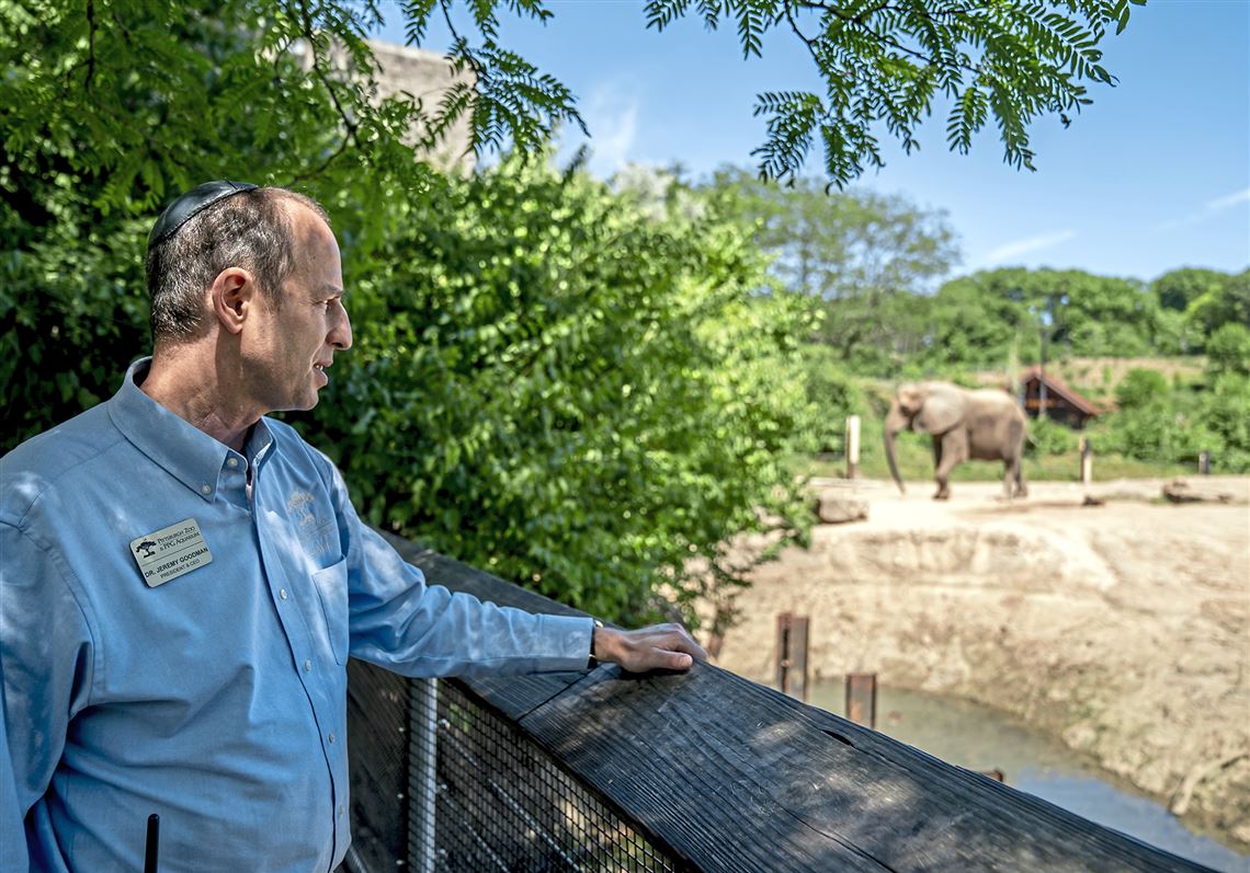 What the Pittsburgh Zoo lost — and continues to lose — without AZA accreditation