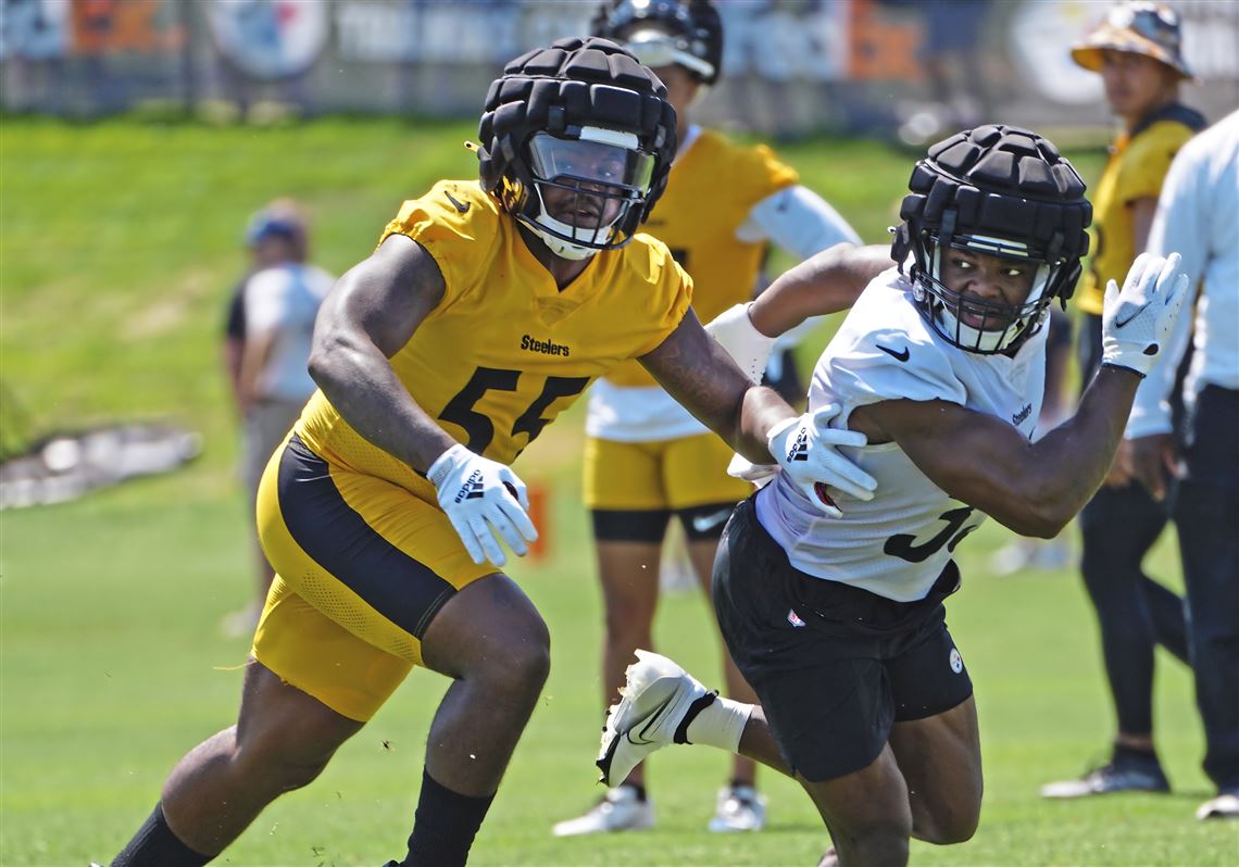 Paul Zeise's mailbag: Is Devin Bush going to become a star linebacker, or  will he never live up to the hype?