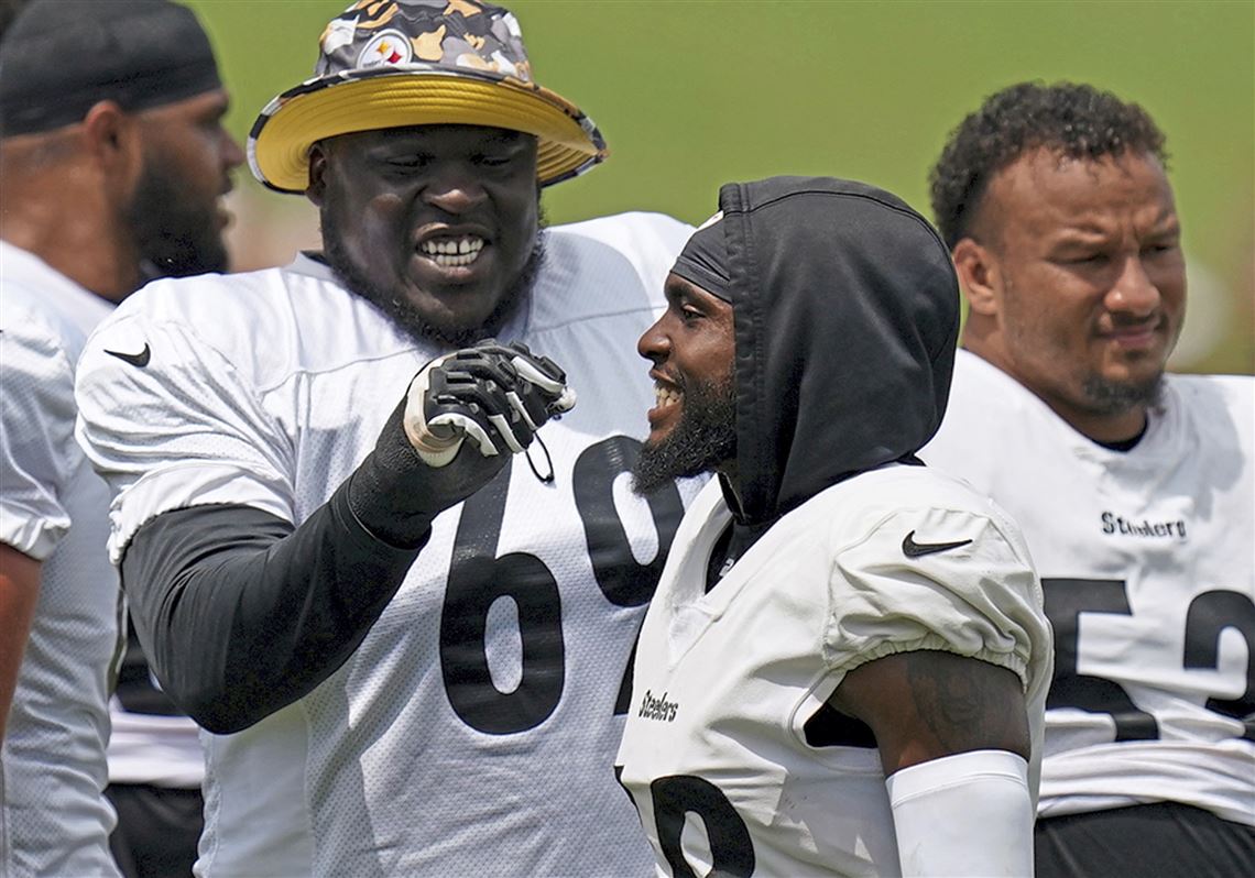 Ron Cook: Steelers camp is a sports lifeline, but about those Pro