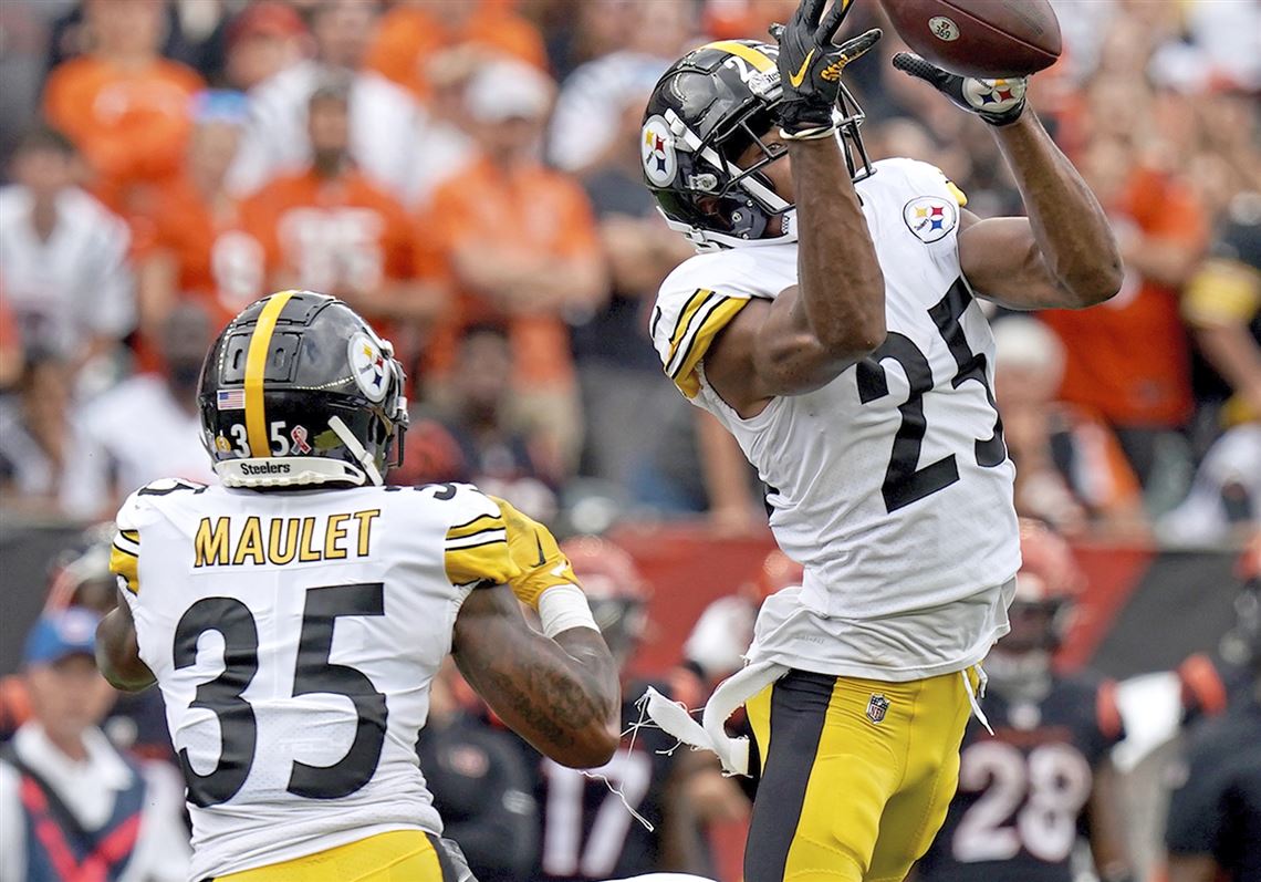 Sunday Flashback: Steelers Tame The Bengals In AFC Wild Card Showdown -  Steelers Depot