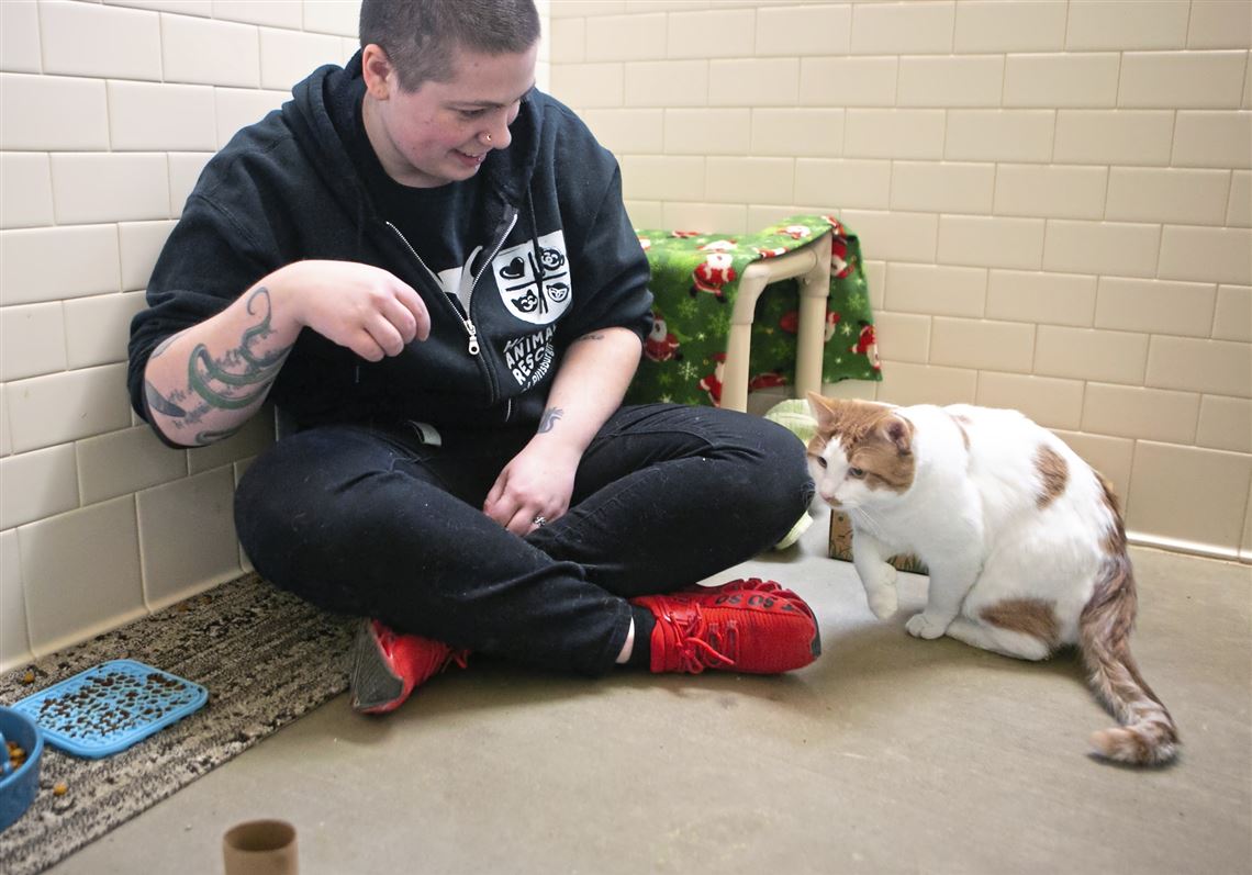 Even hard-to-place animals find homes thanks to changes in training,  adoption programs | Pittsburgh Post-Gazette