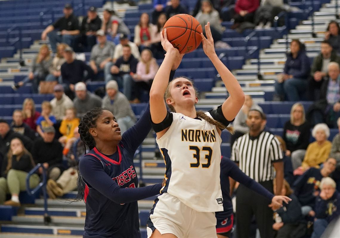 WPIAL Girls Basketball Playoff Bracket Predictions Pittsburgh Post wpial-girls-basketball-playoff-bracket-predictions-pittsburgh-post