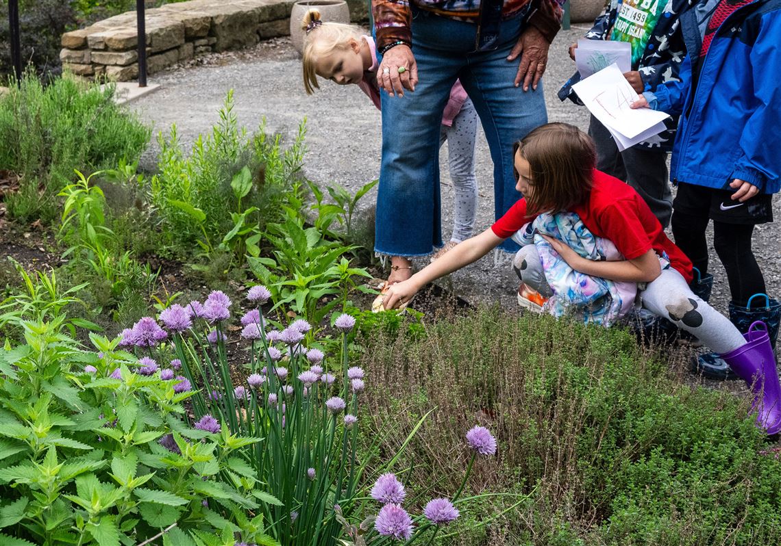 Gardening with kids: From how-to tips to the many benefits | Pittsburgh  Post-Gazette