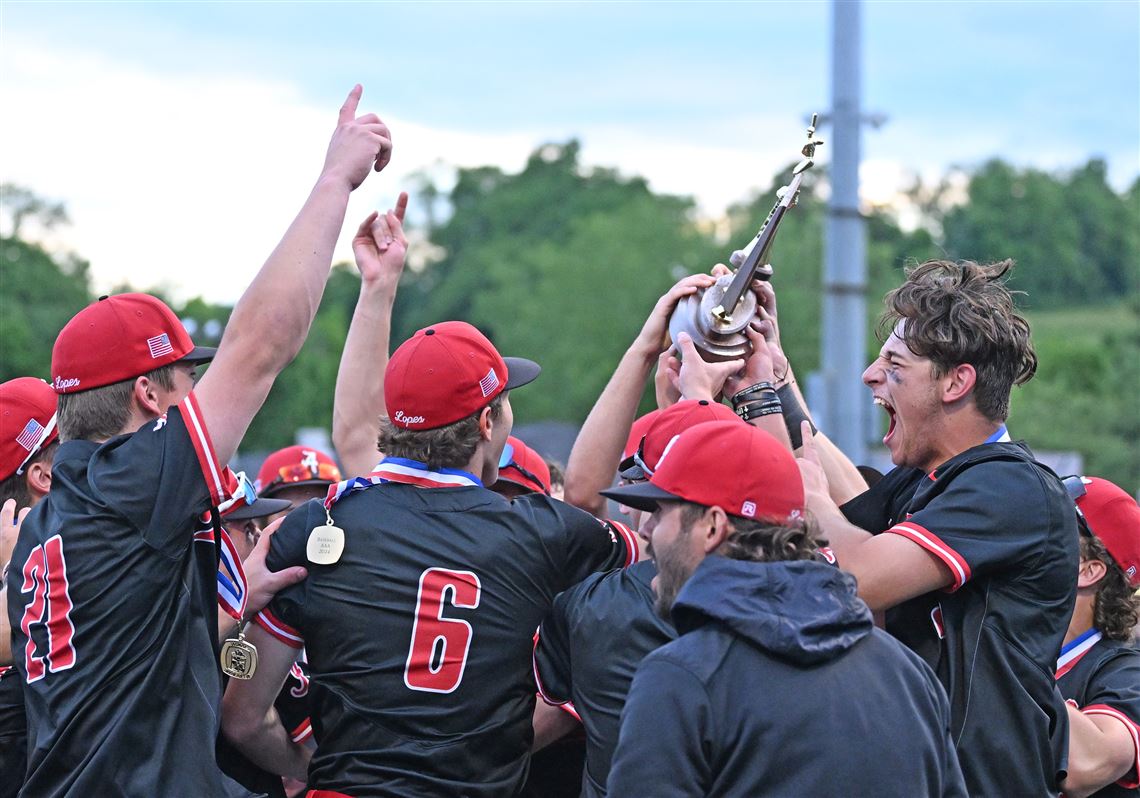 PIAA baseball quarterfinals have 