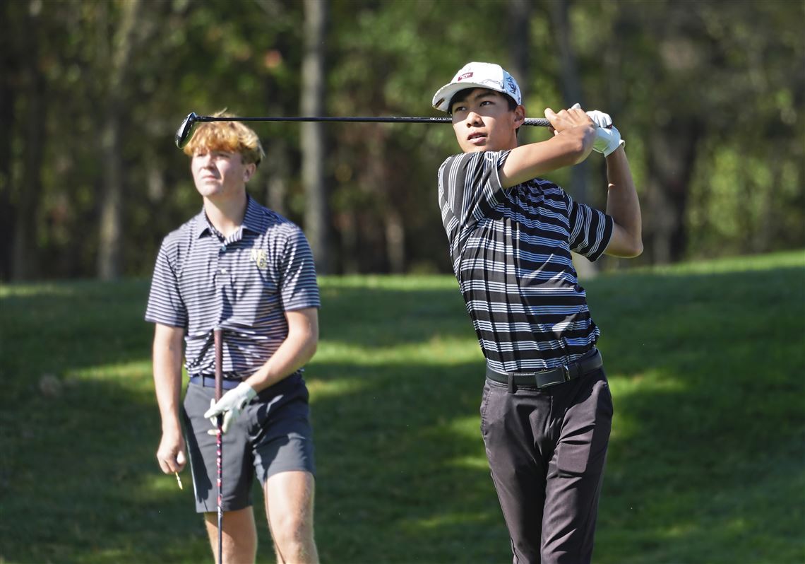 WPIAL golfers performing well at PIAA championships Pittsburgh Post