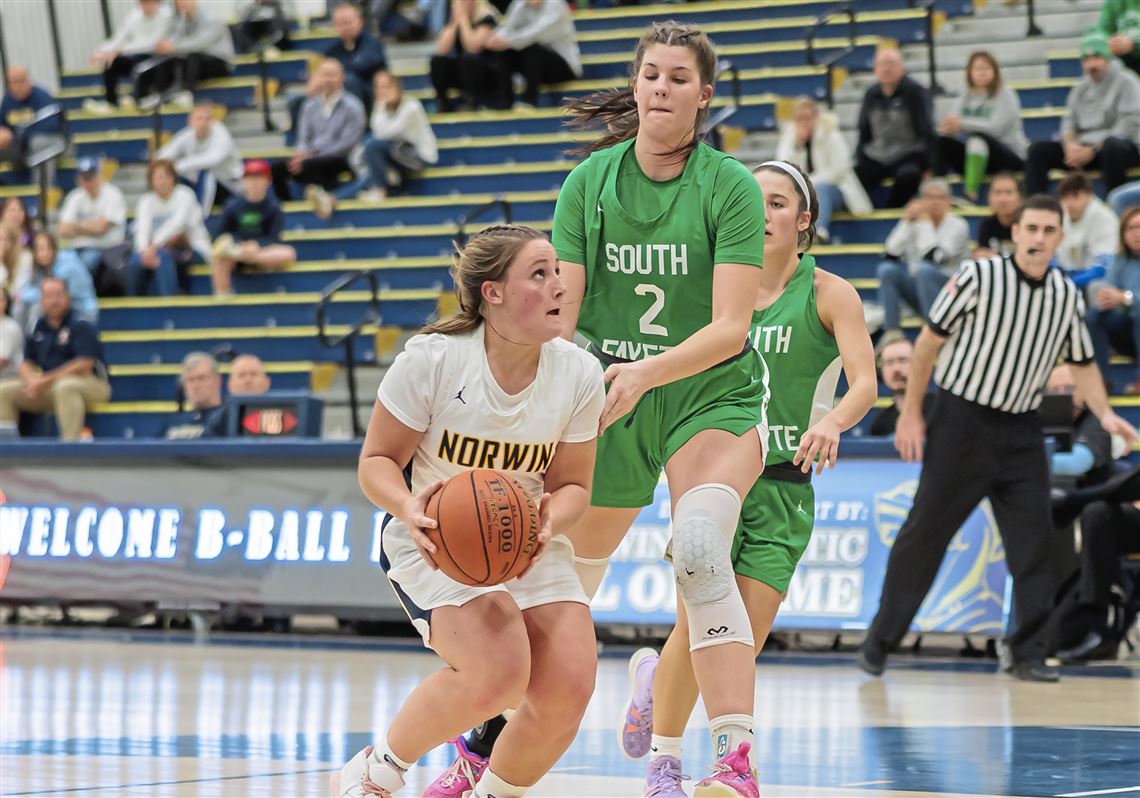 Mohawk falls to South Park in WPIAL 3A championship