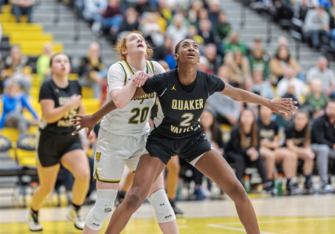 Basketball box scores, other sports results for Feb. 28, 2023; WPIAL