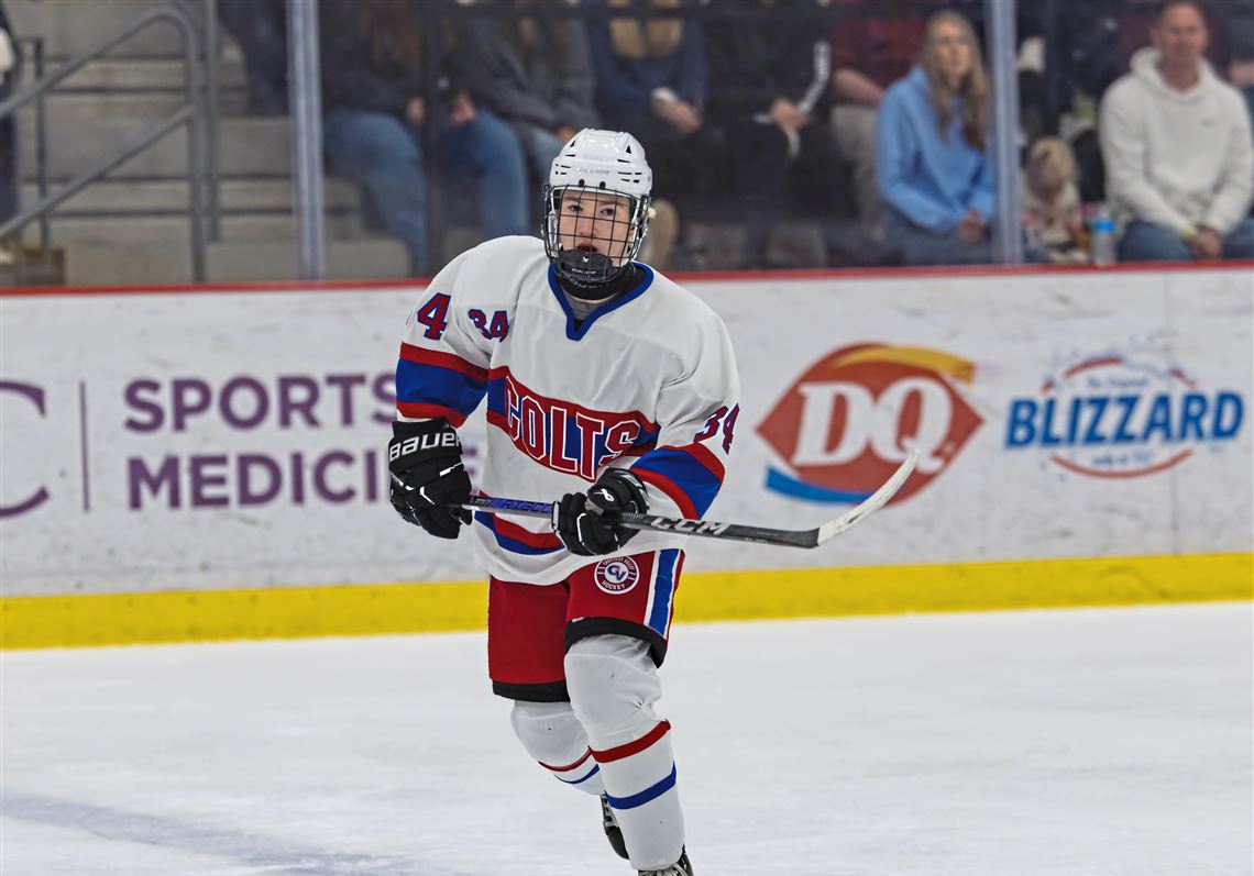 Top teams South Fayette, Thomas Jefferson move to high school hockey's