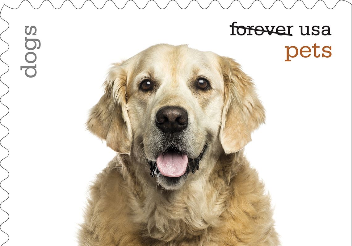 Twenty pets. Pet stamp. Марка Forever/USA. For Dog stamp. Eternity Pets.
