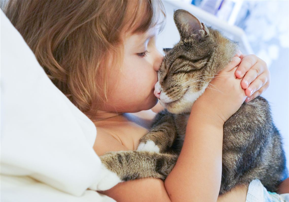 Pet Tales: Can cats help children with autism ...