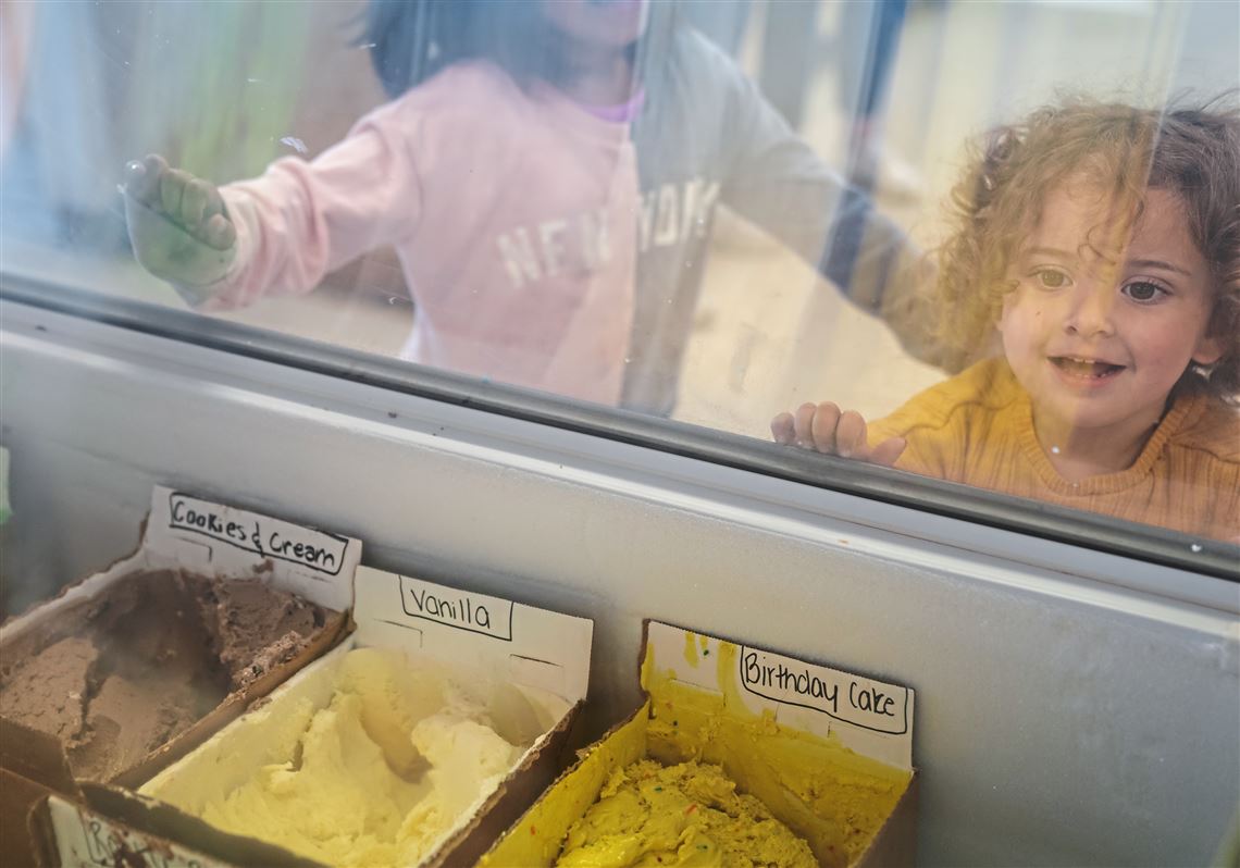 Ice Cream Makers for sale in Irwin, Pennsylvania