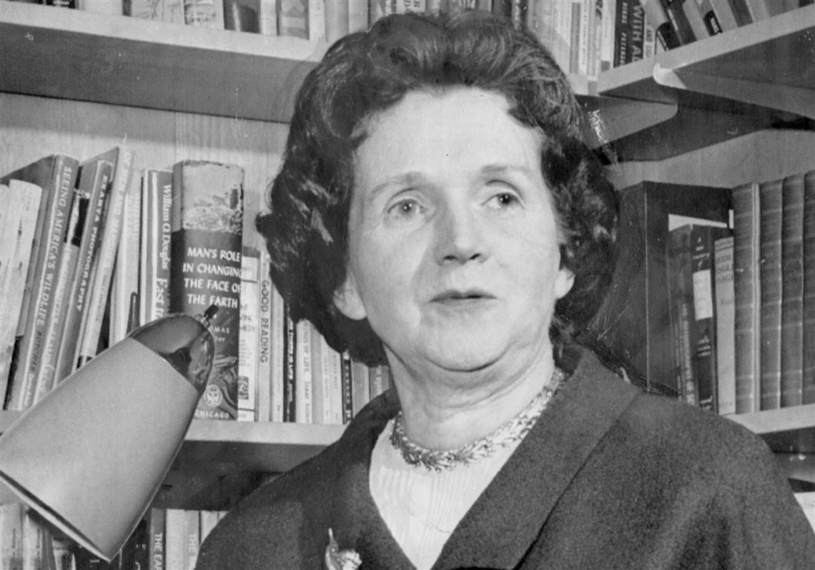 Let's talk about science: Rachel Carson: more than a bridge ...