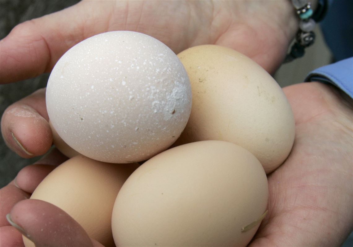 Have you noticed a dozen eggs are really cheap right now? So what’s
