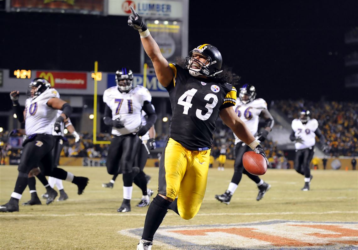 Steelers add Troy Polamalu, Dwight White, Greg Lloyd, James