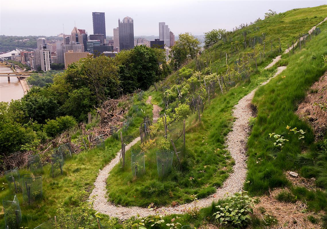 Mount Washington trailbuilding program expected to branch out