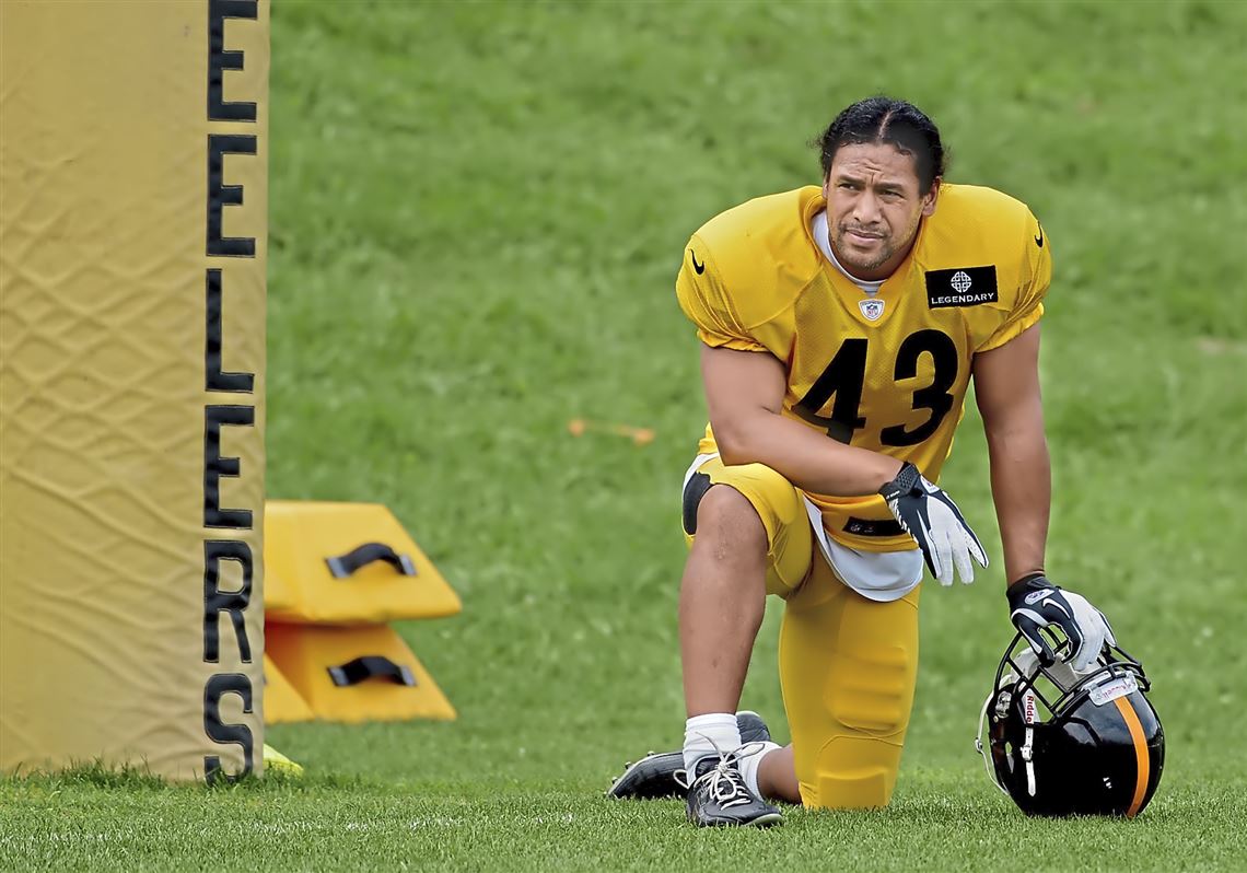 Troy Polamalu talks Antonio Brown, Hall of Fame voting and Steelers' growth  on defense | Pittsburgh Post-Gazette