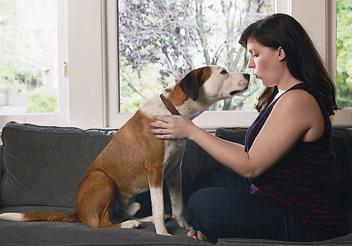 Watch: Pittsburgh Dogs Lick Up the Laughter