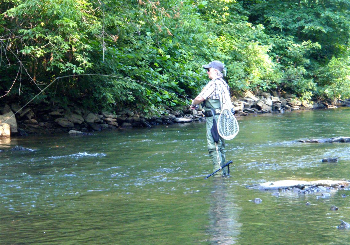 From the Allegheny to the Youghiogheny, smallmouth bass are rising for  surface flies