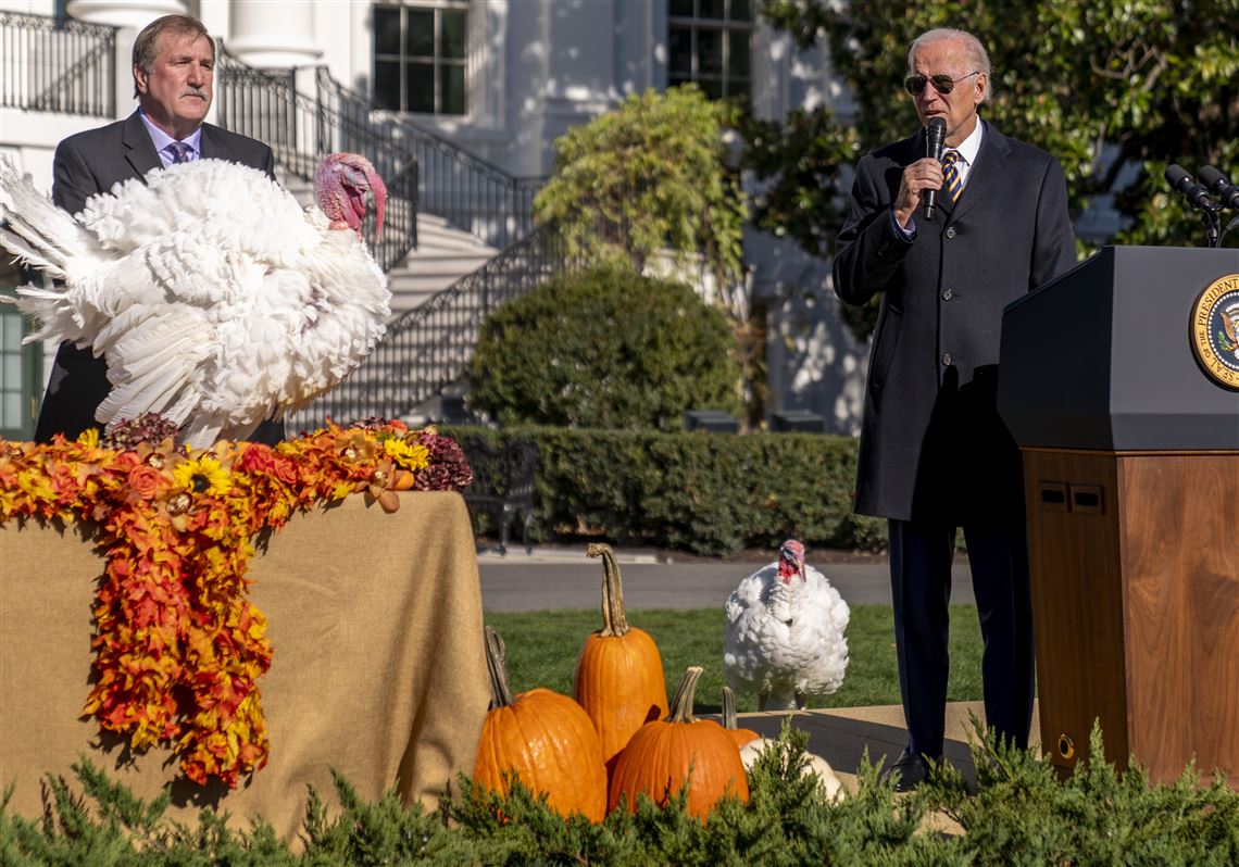 Biden opens holidays, pardons turkeys Chocolate and Chip