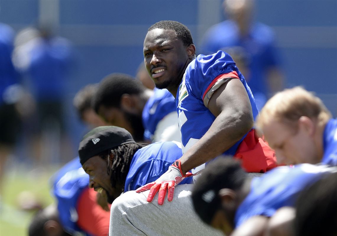 Lawyer: Former Pitt star LeSean McCoy orchestrated assault of woman ...