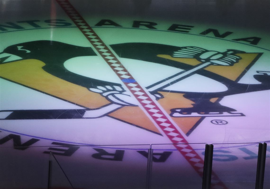 Penguins hold virtual meeting to discuss specifics of temporary Hunt