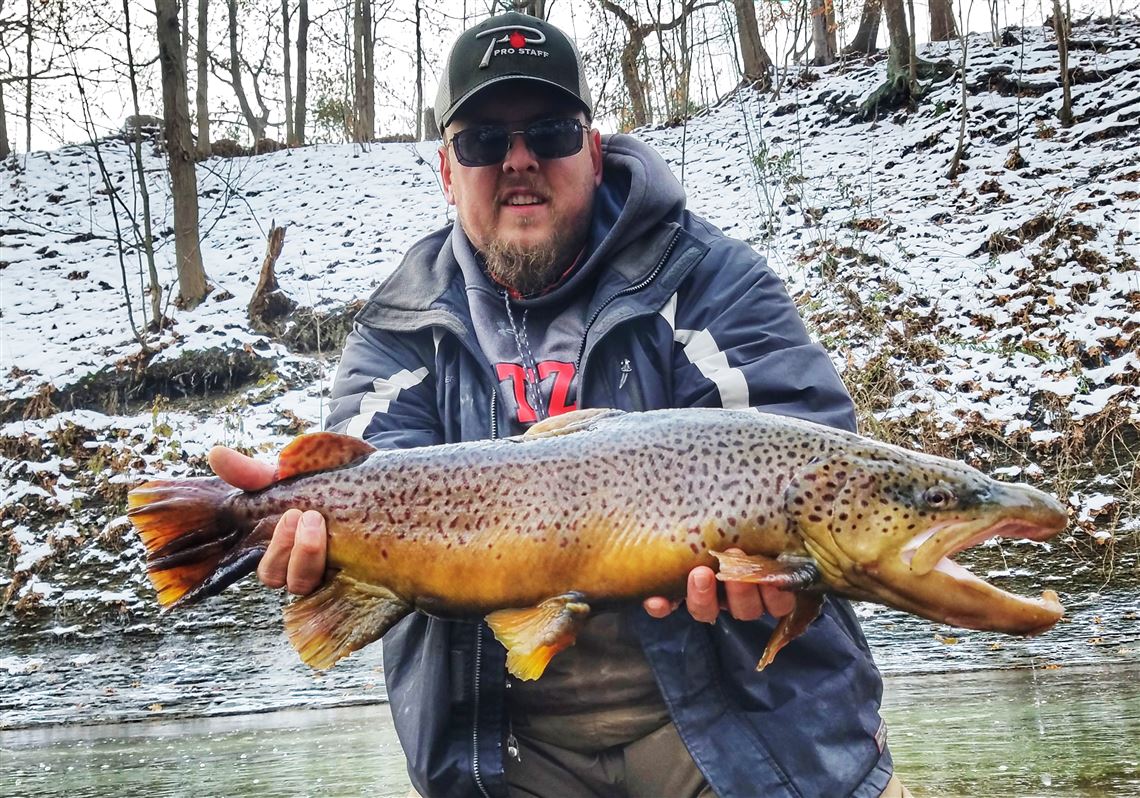 steelhead trout