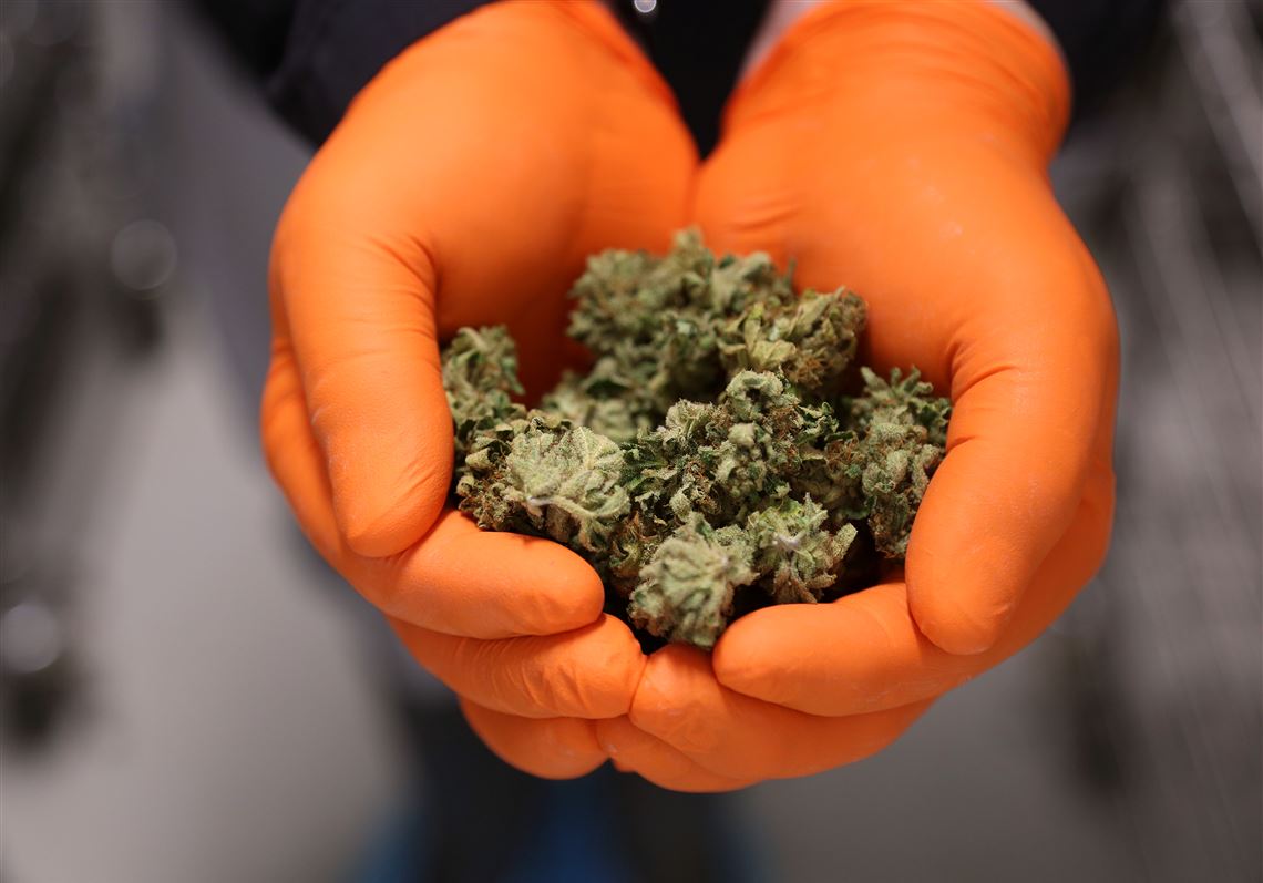 Gov. Wolf calls for 'serious' look at legalizing recreational marijuana