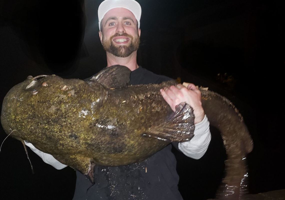 Fishing Report: We caught big catfish, but Phila. angler got the state  record