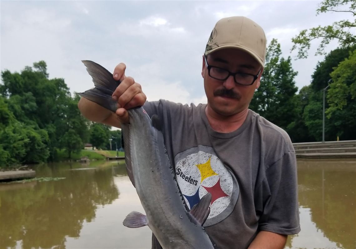 Western Pennsylvania Fishing Report: 9-7-2018